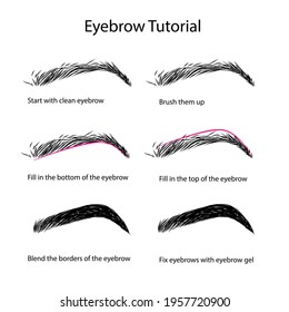 Step by step eyebrow tutorial. Hand drawn illustration of eyebrows. Templates for social media, cards, posters 