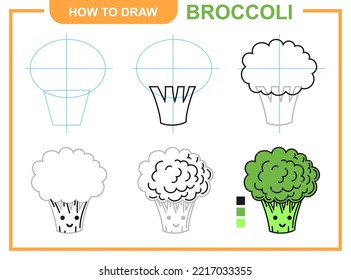 Step by step guide how to draw broccoli vector illustration