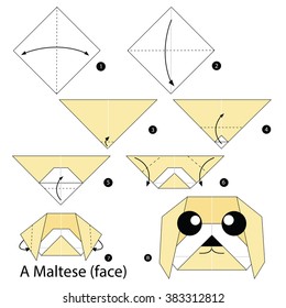 Step by step instructions how to make origami A Maltese (face).