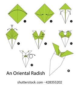 Step by step instructions how to make an origami An Oriental Radish.