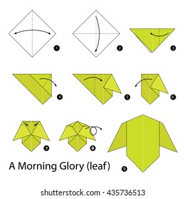 Step by step instructions how to make origami A Morning Glory (leaf).