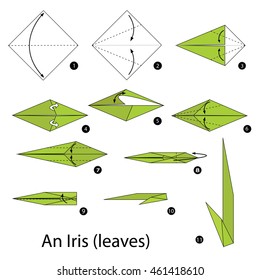 Step by step instructions how to make origami An Iris (leaves).