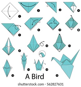 Origami Bird Steps Stock Vectors Images Vector Art