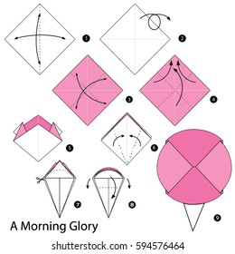 Step by step instructions how to make origami A Morning Glory.