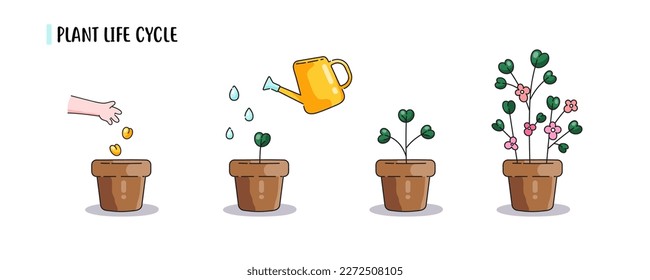 Step by step instructions on how to grow flowers and plants. 4 steps cartoon image how to grow plants yourself at home. Isolated icons with text. Vector for a blog, tutorial, article. 