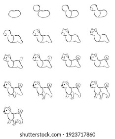 step by step lesson drawing a dog for children educational tasks vector