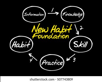 Step By Step Process Diagram Of New Habit Foundation, Business Concept