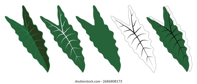 Proceso de ilustración digital paso a paso de una hoja tropical verde, que muestra diferentes capas y etapas desde el contorno hasta el renderizado final.