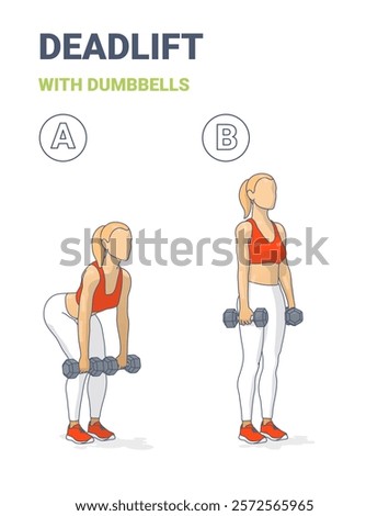 Step-by-step guide showing a woman performing a deadlift with dumbbells. This visual demonstrates proper form and technique in two stages, for fitness training, muscle building, and workout education.
