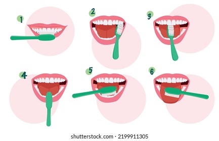 Instrucciones paso a paso para cepillar dientes. Cepillo de dientes y pasta dental para higiene oral. Limpie el diente blanco. Dientes sanos.