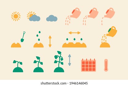 Step-by-step instructions for planting plant and flower seeds. Vector icons of planting and seed growth process, watering rate, temperature and planting calendar. Seedling growth process. 