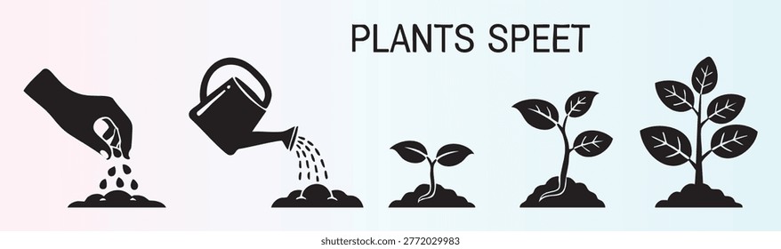 Stepbystep plant growth stages from seed planting to mature plant development illustration