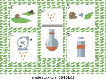 Step-by-step snail mucin preparing process. Korean cosmetics