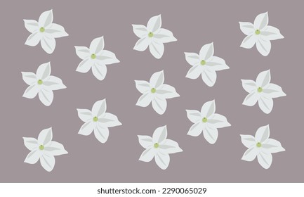 stephanotis flower vector illustration great for background design and other needs