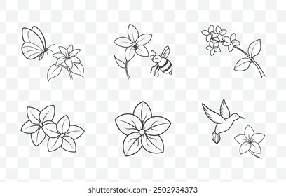 Stephanotis Line Art Vector Set Elegant Floral Illustrations for Graphic Design and Craft Projects