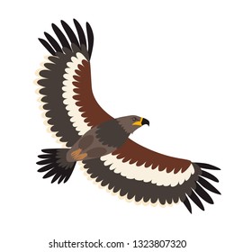 
Steppe eagle icon vector illustration. Cartoon style bird, isolated on a white background