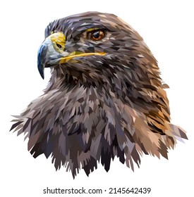 Steppe Eagle portrait isolated on white background. The eagle's head is turned to the side. Low poly. Vector illustration.