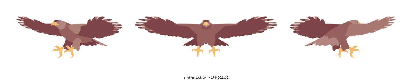 Steppe eagle set, large powerful bird, massive wings in flight. Wildlife study, ornithology and birdwatching concept. Vector flat style cartoon illustration isolated, white background, different views