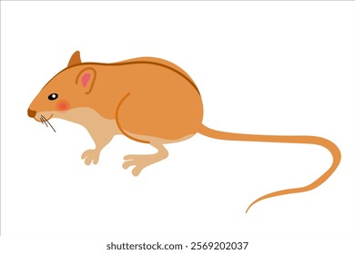 Steppe mouse, cute rodent. Vector simple color flat illustration.