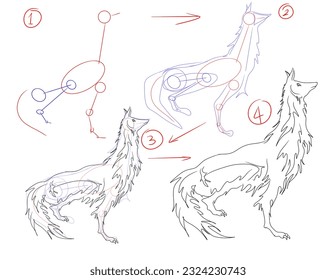 steps for beginners, how to draw a dog or wolf sketch