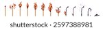 Steps of burning matchstick set. Lightning of matches with fire, sparks, flame. Burnt sticks with smoke, ash. Combustion sequence for animation. Flat isolated vector illustrations on white background
