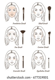 Steps how to use different make up brushes. Line style vector illustration isolated on white background.