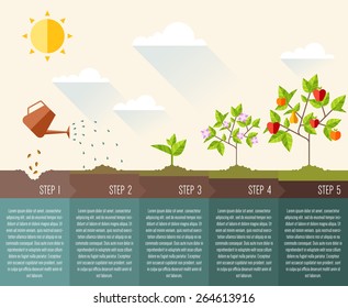 Steps Of Plant Growth. Timeline Infographic Design. Vector Illustration