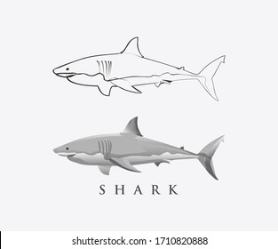 steps of shark hand drawn art vector, hand drawing and coloring shark image as a logo.