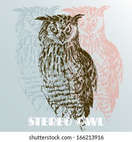 stereo owl