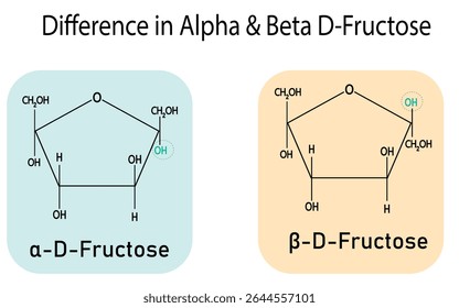 Estereoquímica da frutose; frutose, molécula de alfa-D-frutopiranose, beta-D-frutopiranose. Forma cíclica. Fórmula química estrutural no fundo branco