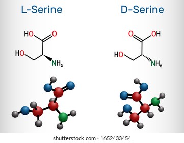 Stereoisomers of serine. D-serine and L-serine amino acid molecule. Structural chemical formula and molecule model. Vector illustration