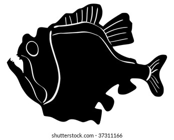 Sternoptychidae