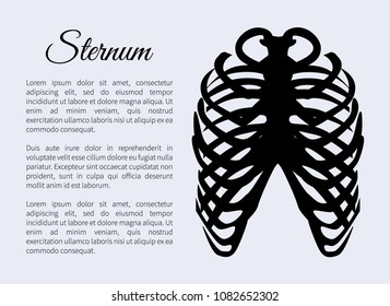 Sternum bones poster with text sample title, banner part of human organism skeletal system, headline vector illustration isolated on blue background