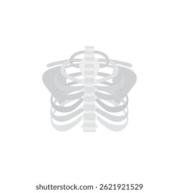 sternum cheast bones vector illustration emoji symbol sign icon flat design