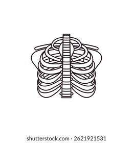 sternum cheast bones vector illustration emoji symbol sign icon flat design