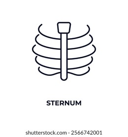 sternum outline icon. Linear vector from medical concept. Thin line sternum icon isolated on white background