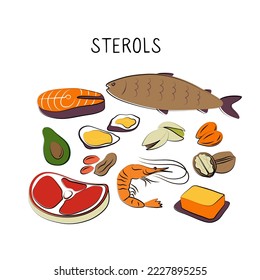 Sterols-containing food. Groups of healthy products containing vitamins and minerals. Set of fruits, vegetables, meats, fish and dairy.