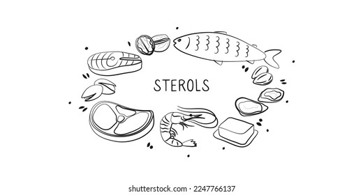 Sterols-containing food. Groups of healthy products containing vitamins and minerals. Set of fruits, vegetables, meats, fish and dairy.