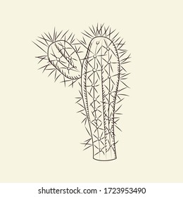 Stetsonia cactus isolated on light background. Wild cacti sketch. Engraving vintage style. Vector illustration.