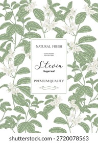 Antecedentes de Stevia. Ramas de Stevia dibujadas a mano con flores y hojas. Ilustración vectorial. Anuncio de Vertical.