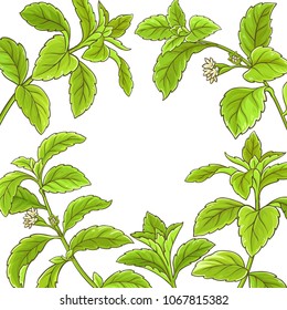 stevia branch vector frame