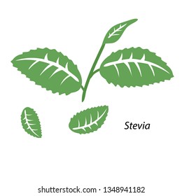 Stevia cartoon illustration vector.