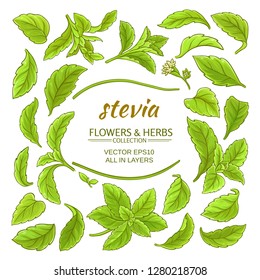 stevia elements vector set on white background