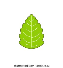stevia icon. vector illustration