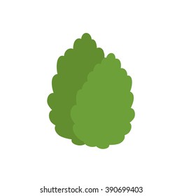 stevia icon. vector illustration