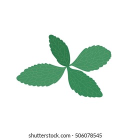 stevia icon. vector illustration