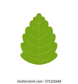 stevia icon. vector illustration