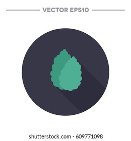 stevia icon. vector illustration