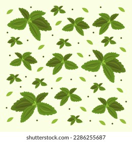 Stevia leaf flat vector illustration. Cute green nature stevia leaf plant cartoon vector illustration for graphic design and decorative element