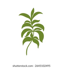 Stevia deixa o logotipo da silhueta da planta. Vetor botânico ramo verde de flor de açúcar para sinal, impressão, cartão, rótulo. Ingrediente alimentar, colheita, adoçante, doces naturais. Ilustração isolada desenhada à mão 